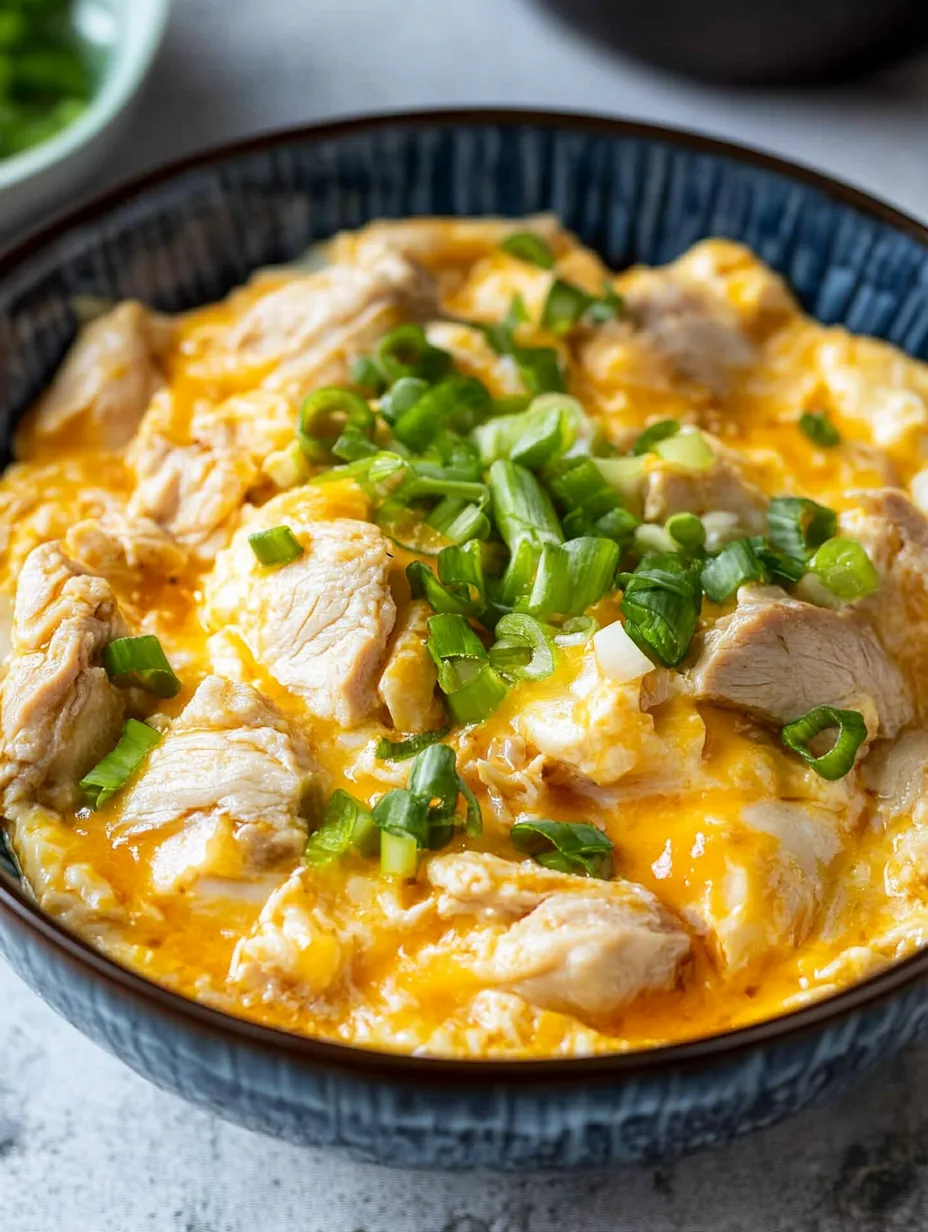 Eine Schüssel mit Hühnersuppe und Frühlingszwiebeln.
